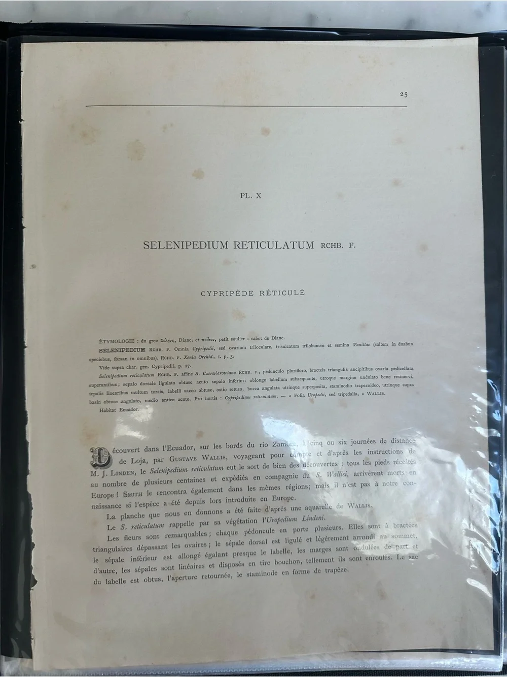 1885 Lindenia Iconographie des Orchidées, a legendary